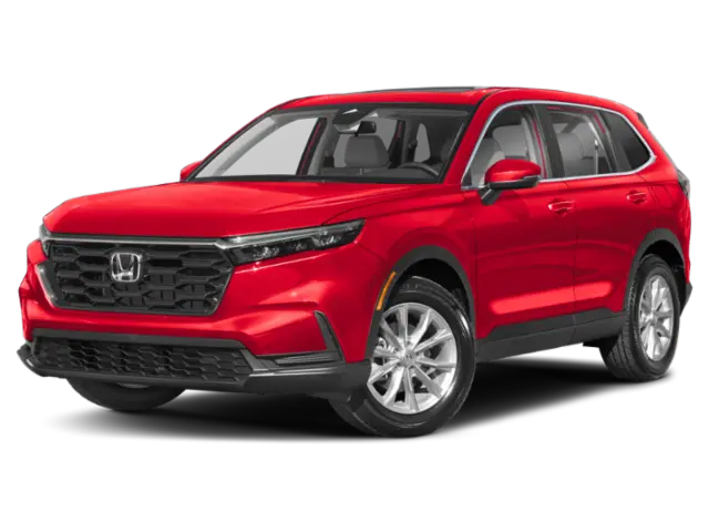 Main Vehicle Jellybean